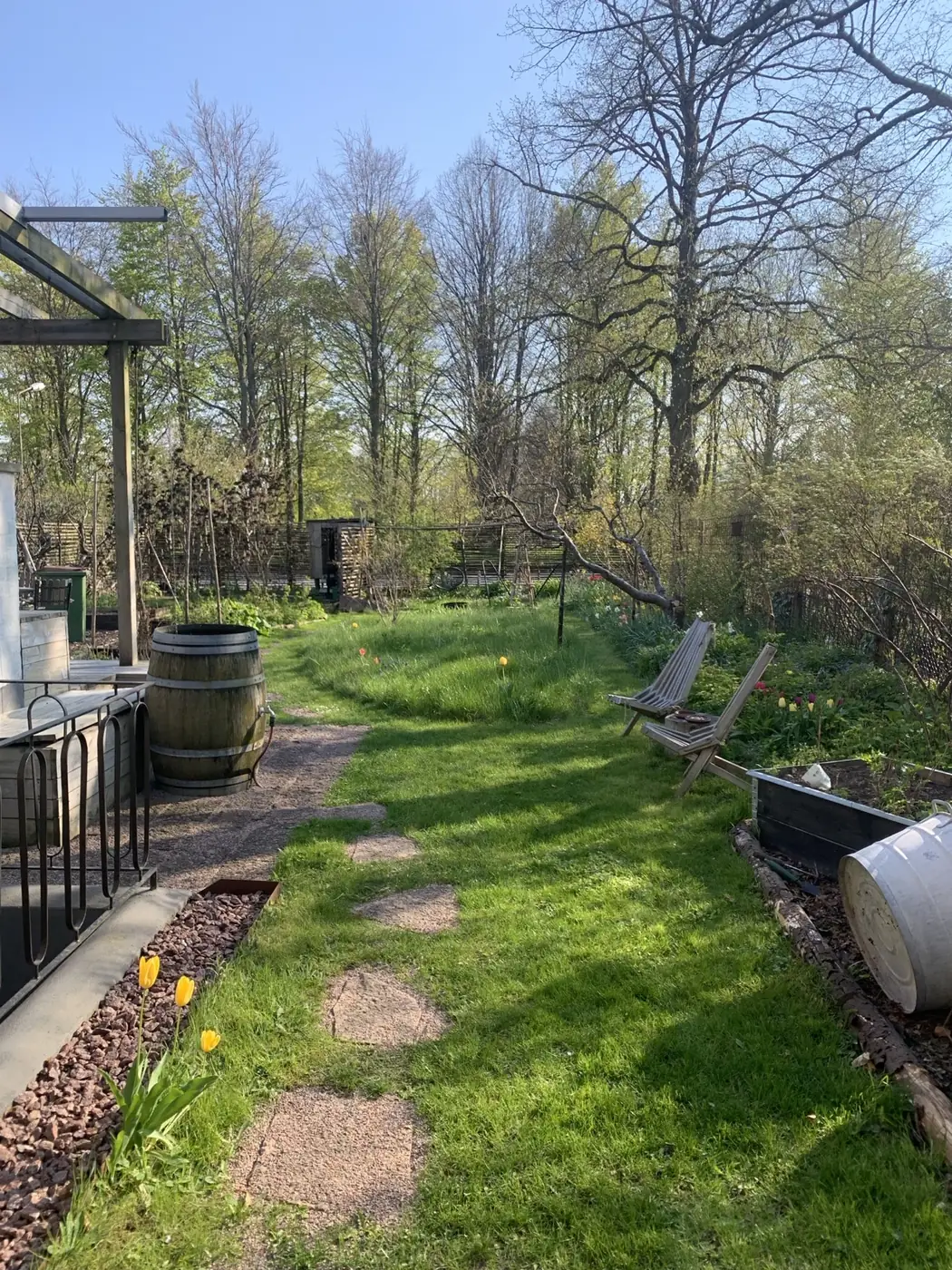 Trädgården från huset i vårsol